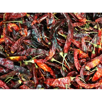Fresh Guntur Dry Red Chilli